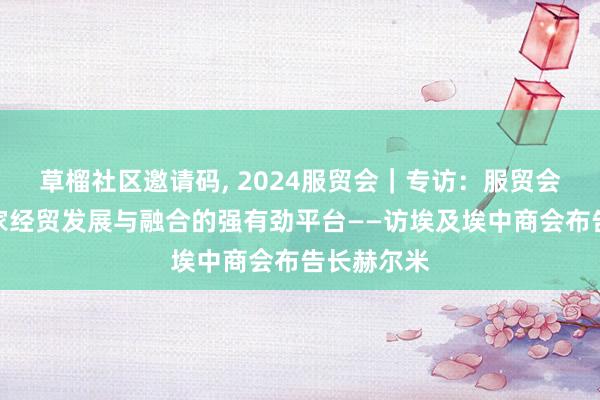 草榴社区邀请码, 2024服贸会｜专访：服贸会是鞭策大家经贸发展与融合的强有劲平台——访埃及埃中商会布告长赫尔米