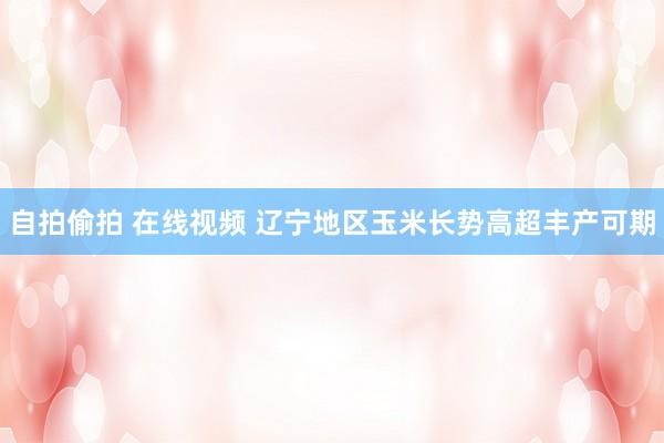 自拍偷拍 在线视频 辽宁地区玉米长势高超丰产可期