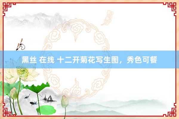 黑丝 在线 十二开菊花写生图，秀色可餐