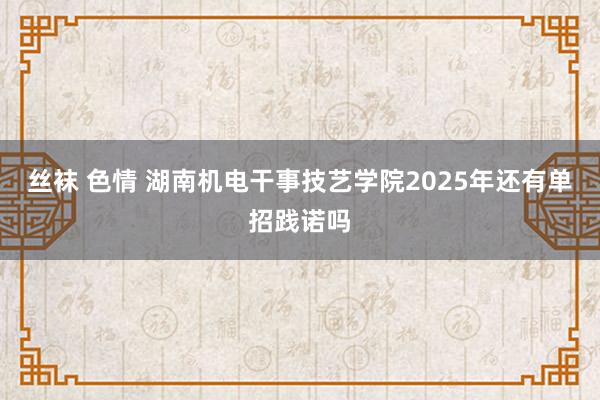 丝袜 色情 湖南机电干事技艺学院2025年还有单招践诺吗