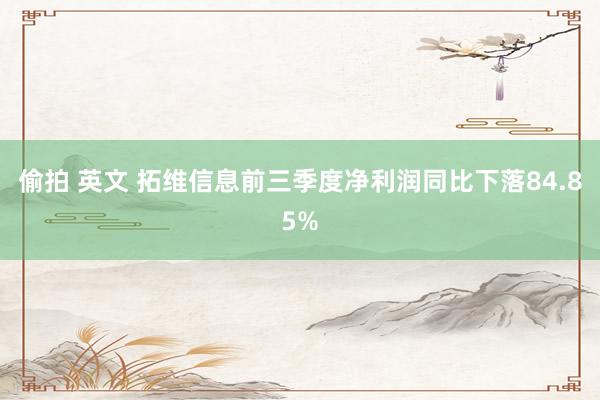 偷拍 英文 拓维信息前三季度净利润同比下落84.85%
