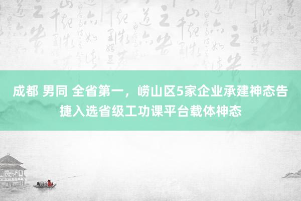 成都 男同 全省第一，崂山区5家企业承建神态告捷入选省级工功课平台载体神态