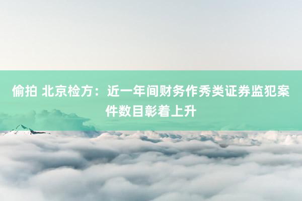 偷拍 北京检方：近一年间财务作秀类证券监犯案件数目彰着上升