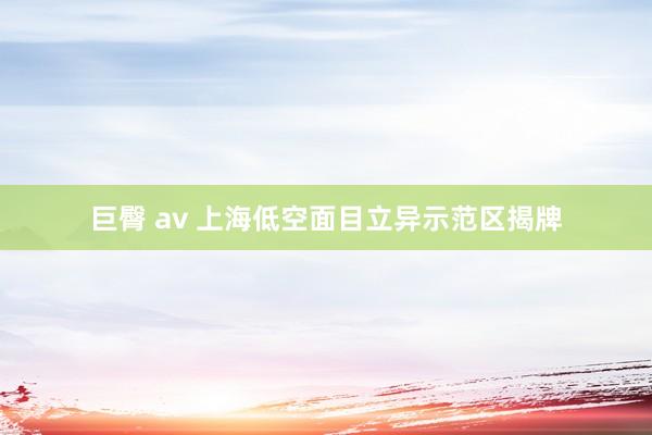 巨臀 av 上海低空面目立异示范区揭牌