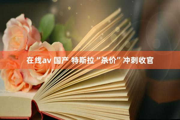 在线av 国产 特斯拉“杀价”冲刺收官