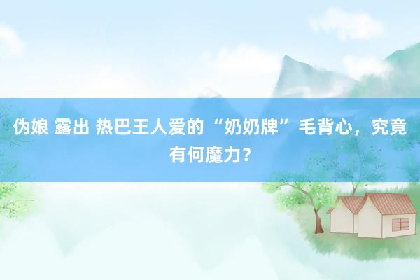 伪娘 露出 热巴王人爱的 “奶奶牌” 毛背心，究竟有何魔力？