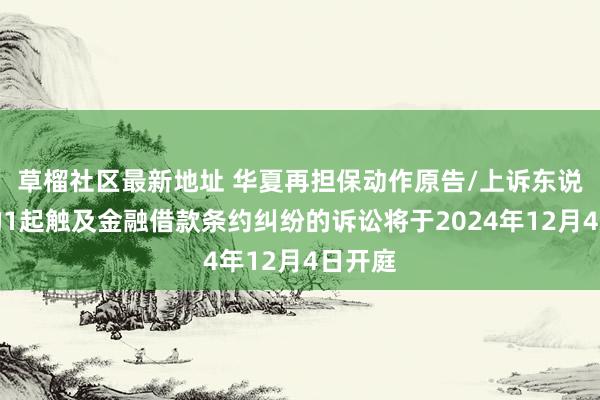 草榴社区最新地址 华夏再担保动作原告/上诉东说念主的1起触及金融借款条约纠纷的诉讼将于2024年12月4日开庭