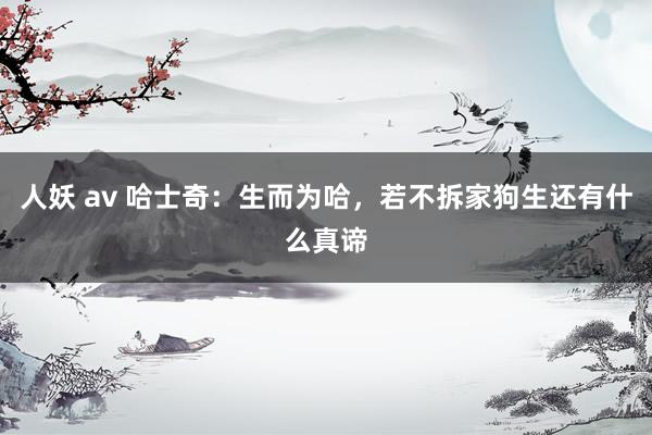 人妖 av 哈士奇：生而为哈，若不拆家狗生还有什么真谛