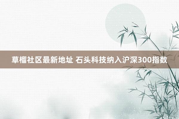 草榴社区最新地址 石头科技纳入沪深300指数