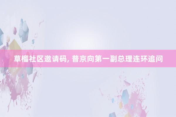 草榴社区邀请码, 普京向第一副总理连环追问