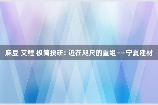 麻豆 艾鲤 极简投研: 近在咫尺的重组——宁夏建材