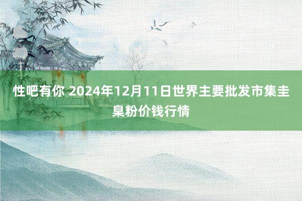 性吧有你 2024年12月11日世界主要批发市集圭臬粉价钱行情