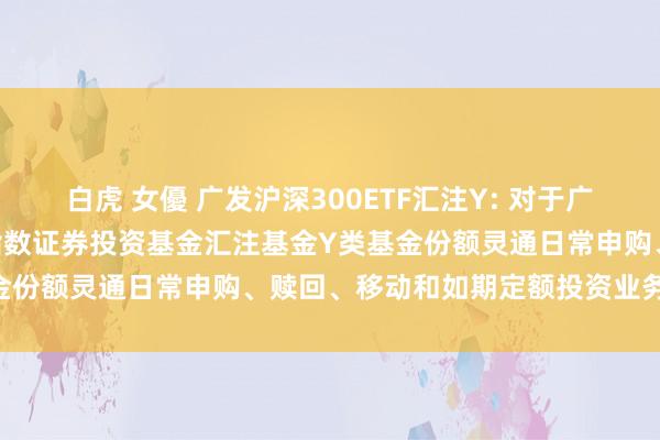 白虎 女優 广发沪深300ETF汇注Y: 对于广发沪深300交往型灵通式指数证券投资基金汇注基金Y类基金份额灵通日常申购、赎回、移动和如期定额投资业务的公告