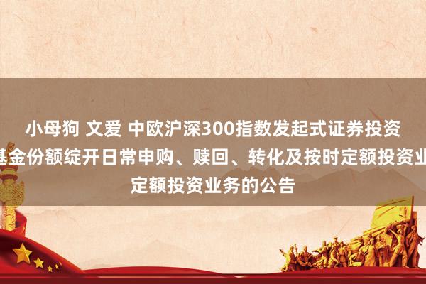 小母狗 文爱 中欧沪深300指数发起式证券投资基金Y类基金份额绽开日常申购、赎回、转化及按时定额投资业务的公告