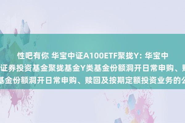 性吧有你 华宝中证A100ETF聚拢Y: 华宝中证A100交游型洞开式指数证券投资基金聚拢基金Y类基金份额洞开日常申购、赎回及按期定额投资业务的公告