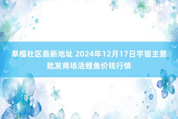 草榴社区最新地址 2024年12月17日宇宙主要批发商场活鲤鱼价钱行情