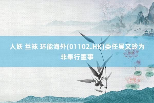 人妖 丝袜 环能海外(01102.HK)委任吴文玲为非奉行董事