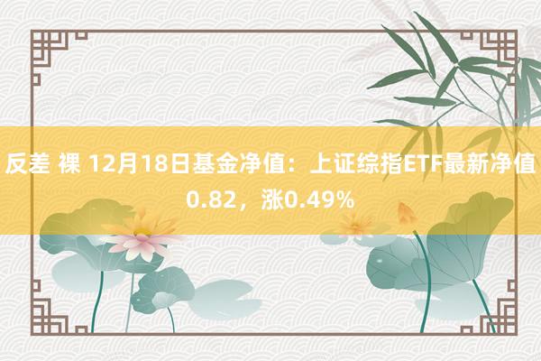 反差 裸 12月18日基金净值：上证综指ETF最新净值0.82，涨0.49%