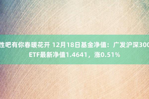 性吧有你春暖花开 12月18日基金净值：广发沪深300ETF最新净值1.4641，涨0.51%