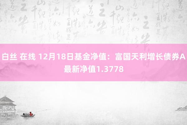 白丝 在线 12月18日基金净值：富国天利增长债券A最新净值1.3778