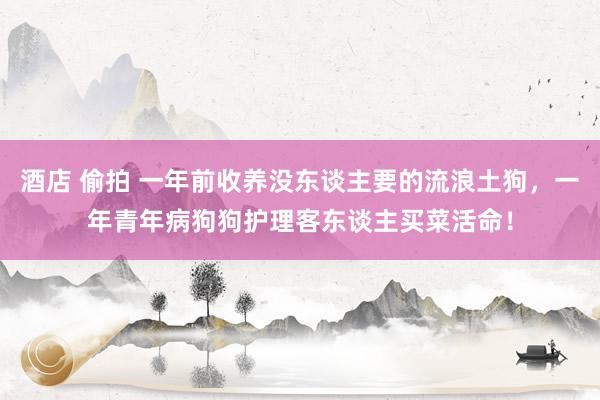 酒店 偷拍 一年前收养没东谈主要的流浪土狗，一年青年病狗狗护理客东谈主买菜活命！