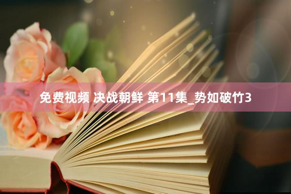 免费视频 决战朝鲜 第11集_势如破竹3