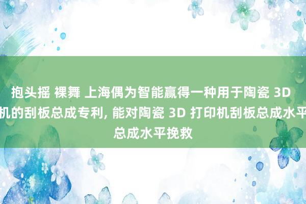 抱头摇 裸舞 上海偶为智能赢得一种用于陶瓷 3D 打印机的刮板总成专利, 能对陶瓷 3D 打印机刮板总成水平挽救