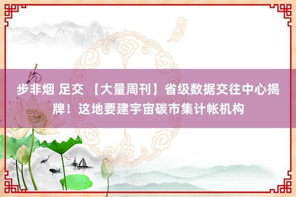 步非烟 足交 【大量周刊】省级数据交往中心揭牌！这地要建宇宙碳市集计帐机构