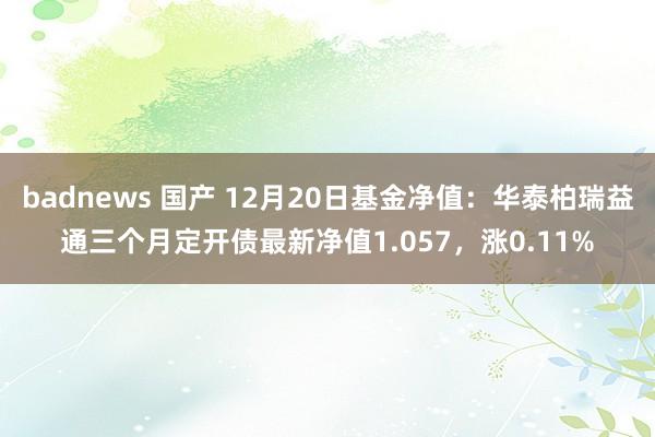badnews 国产 12月20日基金净值：华泰柏瑞益通三个月定开债最新净值1.057，涨0.11%