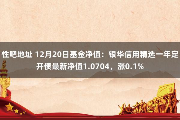 性吧地址 12月20日基金净值：银华信用精选一年定开债最新净值1.0704，涨0.1%