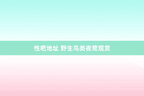 性吧地址 野生鸟类夜鹭观赏