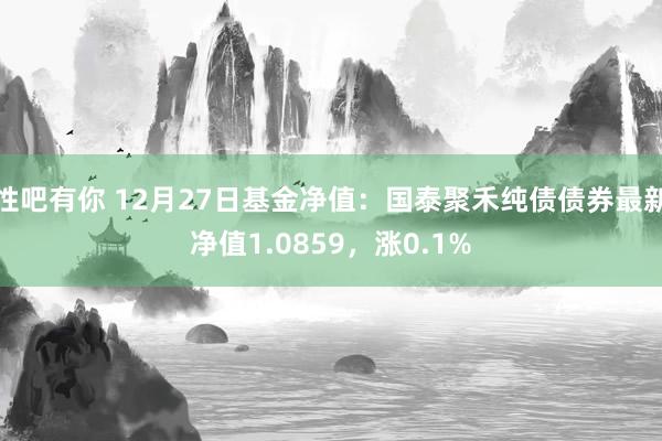性吧有你 12月27日基金净值：国泰聚禾纯债债券最新净值1.0859，涨0.1%