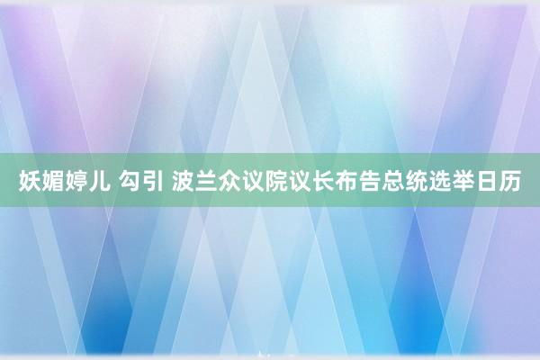 妖媚婷儿 勾引 波兰众议院议长布告总统选举日历