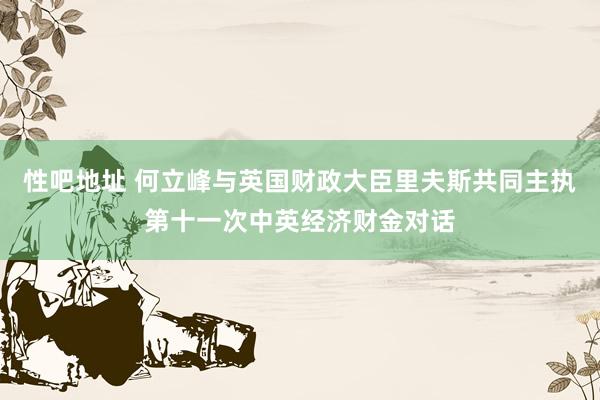 性吧地址 何立峰与英国财政大臣里夫斯共同主执第十一次中英经济财金对话
