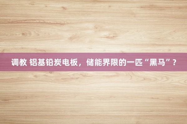 调教 铝基铅炭电板，储能界限的一匹“黑马”？