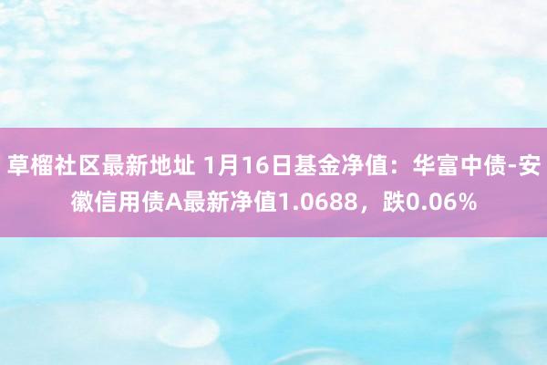 草榴社区最新地址 1月16日基金净值：华富中债-安徽信用债A最新净值1.0688，跌0.06%