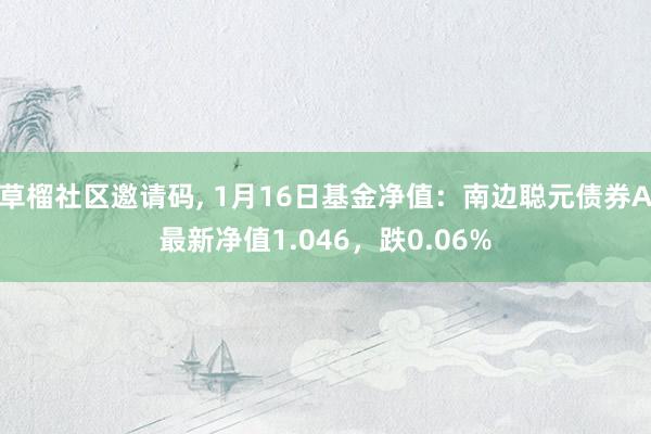 草榴社区邀请码, 1月16日基金净值：南边聪元债券A最新净值1.046，跌0.06%