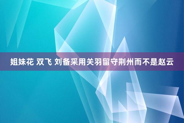 姐妹花 双飞 刘备采用关羽留守荆州而不是赵云