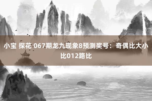 小宝 探花 067期龙九现象8预测奖号：奇偶比大小比012路比
