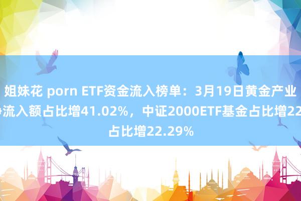姐妹花 porn ETF资金流入榜单：3月19日黄金产业ETF净流入额占比增41.02%，中证2000ETF基金占比增22.29%