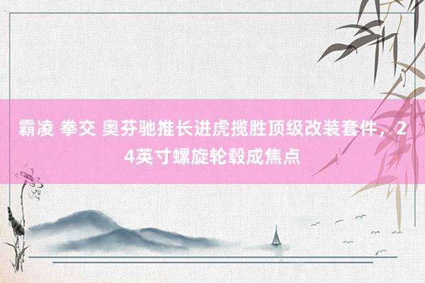 霸凌 拳交 奥芬驰推长进虎揽胜顶级改装套件，24英寸螺旋轮毂成焦点