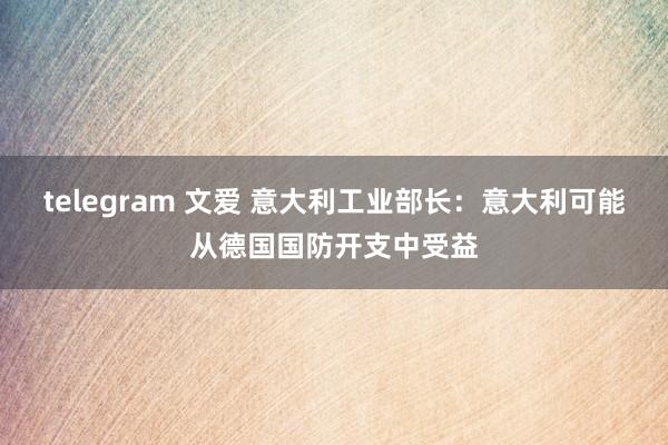 telegram 文爱 意大利工业部长：意大利可能从德国国防开支中受益