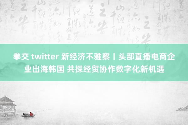 拳交 twitter 新经济不雅察丨头部直播电商企业出海韩国 共探经贸协作数字化新机遇