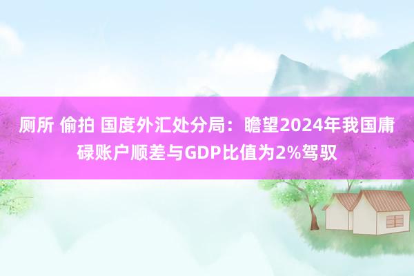 厕所 偷拍 国度外汇处分局：瞻望2024年我国庸碌账户顺差与GDP比值为2%驾驭