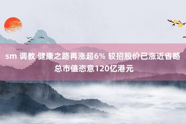 sm 调教 健康之路再涨超6% 较招股价已涨近省略 总市值恣意120亿港元