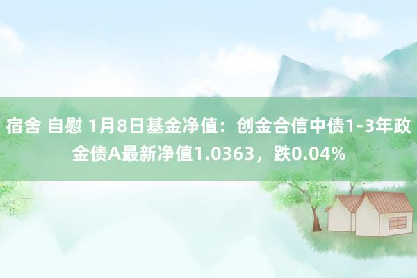 宿舍 自慰 1月8日基金净值：创金合信中债1-3年政金债A最新净值1.0363，跌0.04%