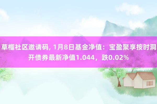 草榴社区邀请码, 1月8日基金净值：宝盈聚享按时洞开债券最新净值1.044，跌0.02%