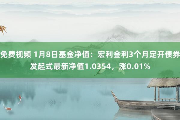 免费视频 1月8日基金净值：宏利金利3个月定开债券发起式最新净值1.0354，涨0.01%