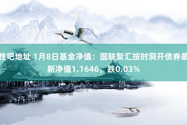 性吧地址 1月8日基金净值：国联聚汇按时洞开债券最新净值1.1646，跌0.03%