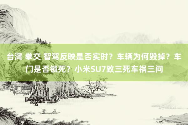 台灣 拳交 智驾反映是否实时？车辆为何毁掉？车门是否锁死？小米SU7致三死车祸三问